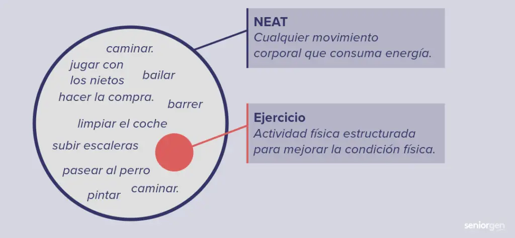 diferencia actividad fisica y ejercicio